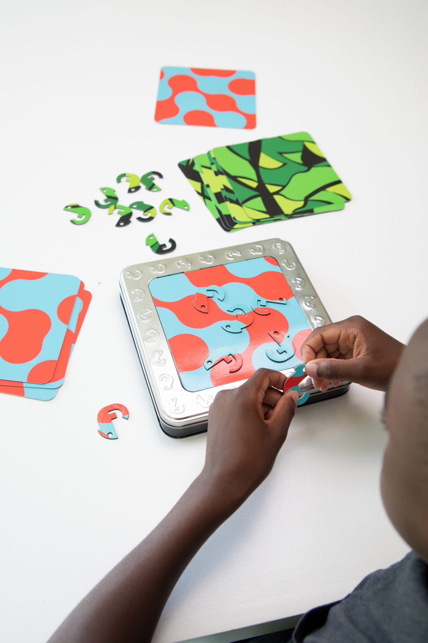 FA316-1 Kameleony Łamigłówka Magnetyczna. - obrazek 7