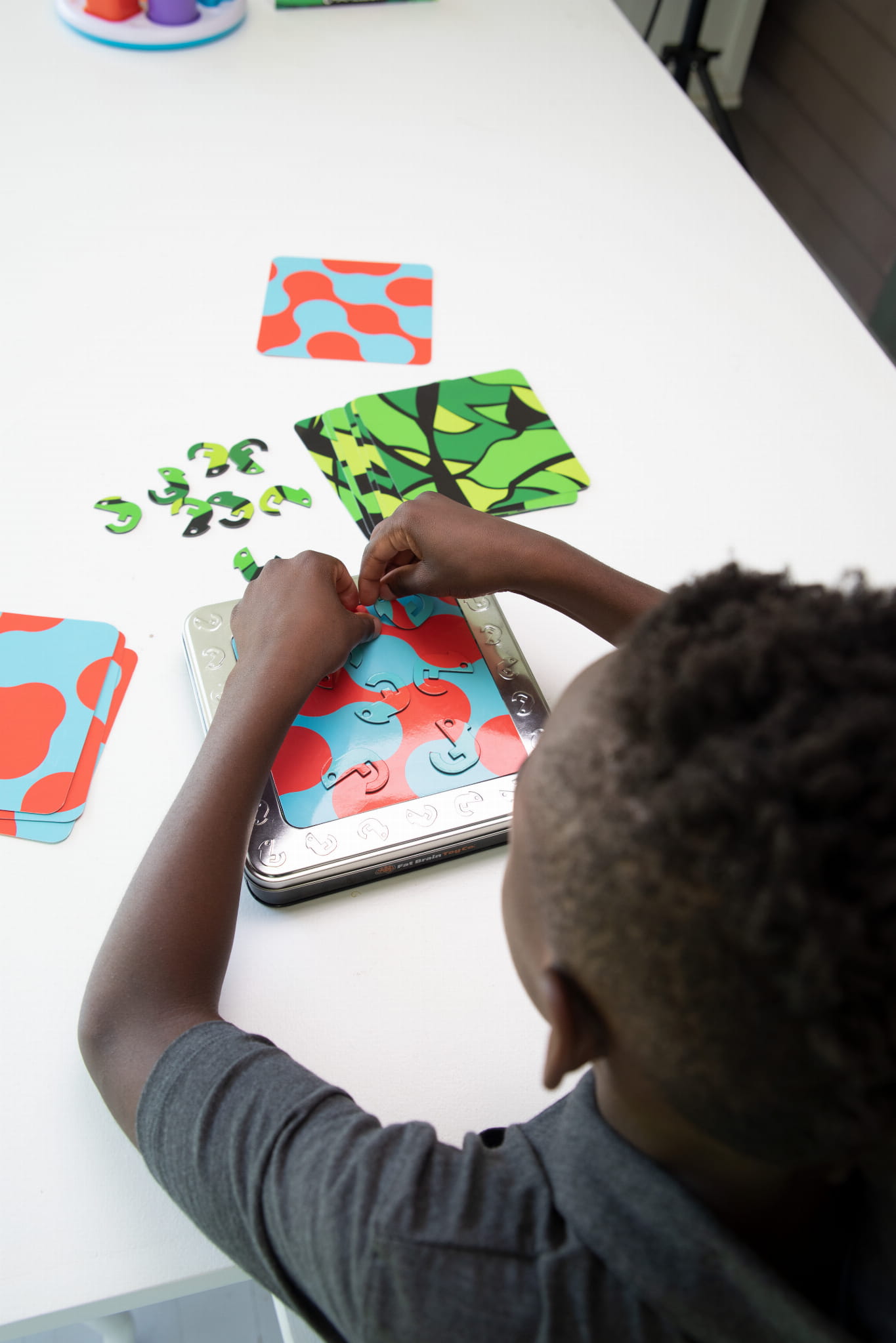 FA316-1 Kameleony Łamigłówka Magnetyczna. - obrazek 8