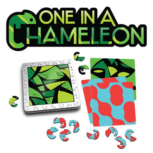 FA316-1 Kameleony Łamigłówka Magnetyczna.