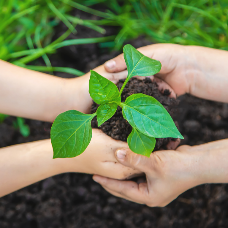 zestaw małego ogrodnika