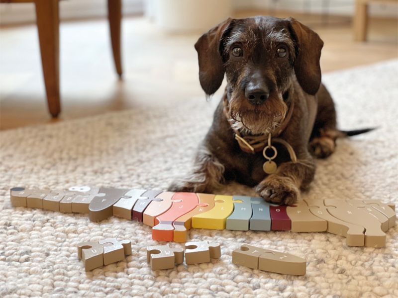 Drewniane puzzle Alfabet jamnik Small Foot - obrazek 2